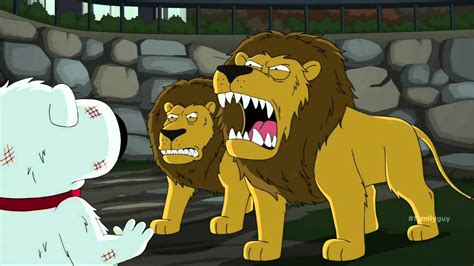 family guy lions thanksgiving|family guy detroit lions.